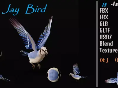 Blue Jay Bird Low-poly 3D model