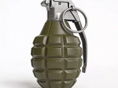 Tactical Military Fragmentation Grenade 3D Model Low-poly 3D model