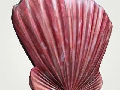 Sea Shell Scallop Pecten shell 4K 3D model