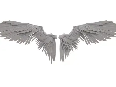 angel wings 3D model