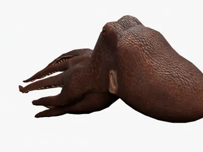 lowpoly rigged octopus rigged Low-poly 3D model