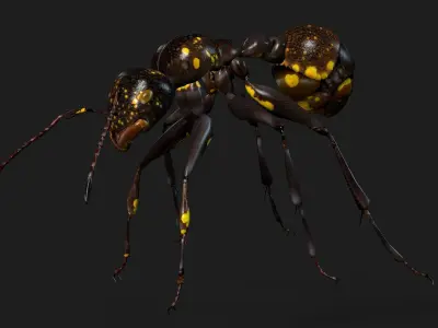 Ant-A1 3D model