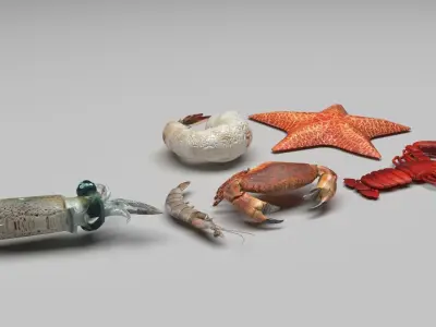 Sea Creatures Set 3D model