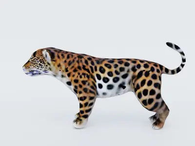 Jaguar Free 3D model