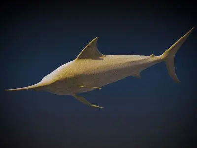 Black marlin 3D model