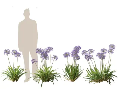 Temperate Flowering Shrubs Trees Pack 54 3D model