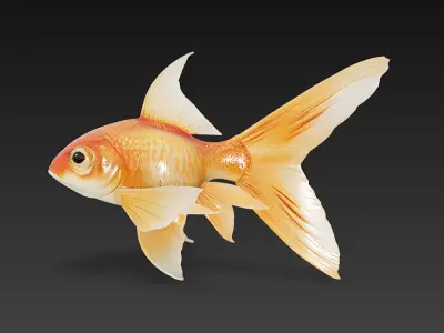 Goldfish 3D Model Basic - Low Poly Simple Low-poly 3D model