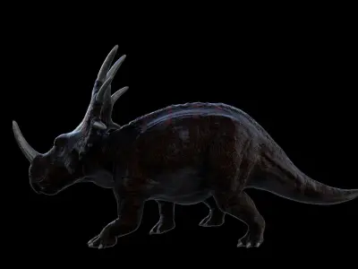 Dinosaur Triceratops 3D model