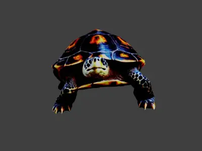 Turtle - Tortoise Low-poly 3D model