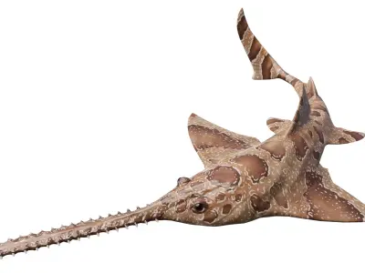 Onchopristis Asset Pack Low-poly 3D model