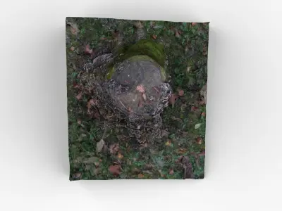 Tree trunk covered in mushrooms Free low-poly 3D model