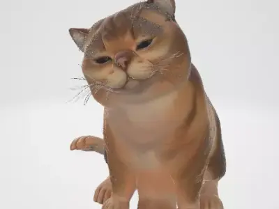 Meme Cat 3D Model 3D model