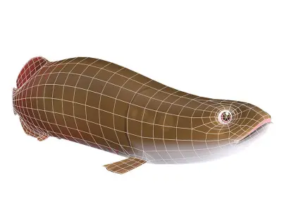 Pirarucu Animated Fish  Low-poly 3D model
