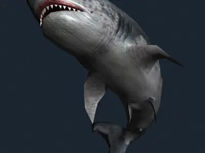 3DRT - Sealife - Shark Low-poly 3D model