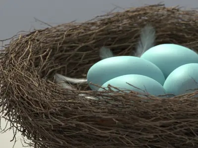 Birds Nest 3D model
