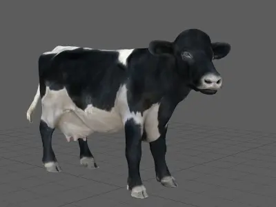 REALISTIC COW Low-poly 3D model