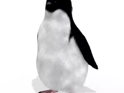 Penguin chick Black and white Fairy bird animal 3D model