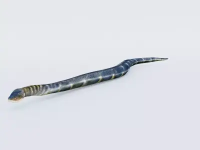 Anaconda Free 3D model