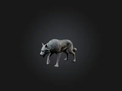 Realistic Wolf Modell Low-poly 3D model