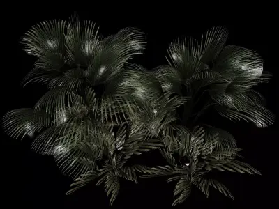 Plants - game ready 3d model palm tree Low-poly 3D model