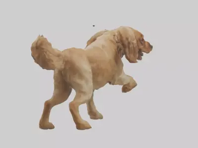 Cocker Spaniel retrieving model 3D model