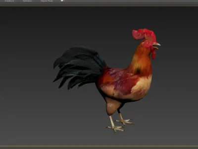 rooster rigged bird farm cock feather chicken poultry animal 3D model