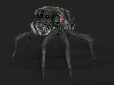 Spider - Tarantula with animations 3D model