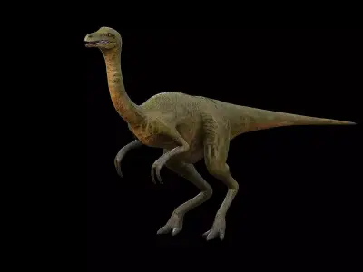 Gallimimus - The Chicken Mimic Low-poly 3D model