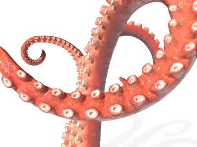 Kraken Octopus Tentacle Rigged Low-poly 3D model