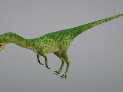 Coelophysis dinosaur 3D model