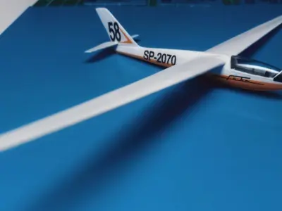 SZD-24 Foka Glider 3D print model
