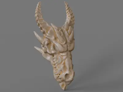 Dragon skull 3D print model