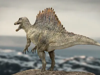 Spinosaurus Rigged 3D model Low-poly 3D model