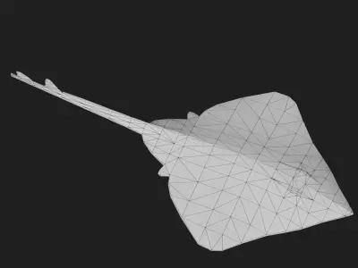 Clearnoseskate Low-poly 3D model