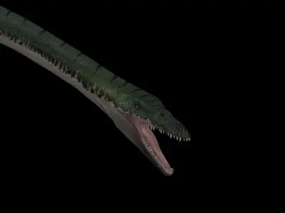 Elasmosaurus dinosaur Low-poly 3D model