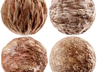 Rock texture collection 02 Texture