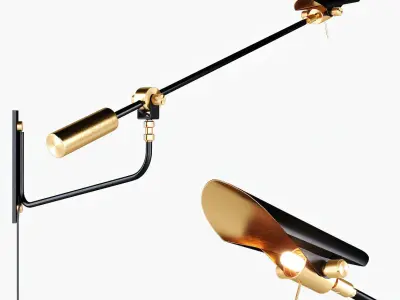 Daniel Gallo - Applique potence balancier Bird 3D model