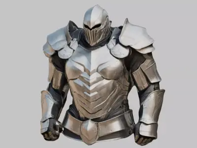Medieval Armor Male Anatomy 3D Model Low-poly 3D model