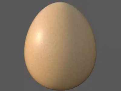 Egg Chicken Low-poly 3D model