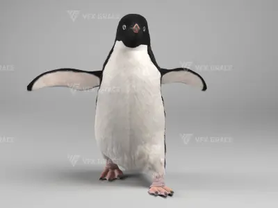 Pygoscelis Animated - VFX Grace 3D model