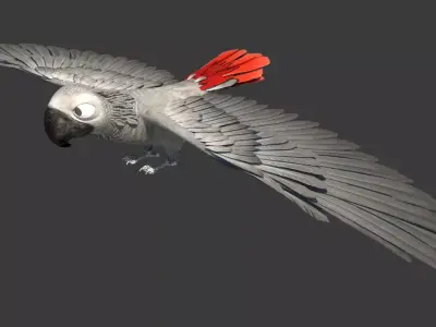 Gray parrot Low-poly 3D model