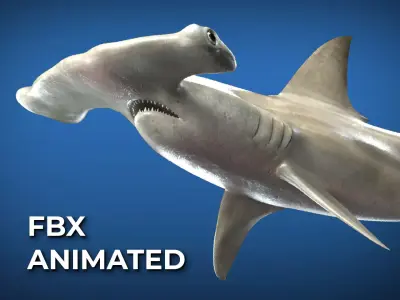 Hammerhead Shark with 3DS Max Octane Support Low-poly 3D model