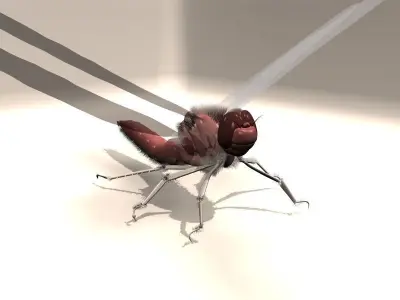 Insect with long tail Low-poly 3D model