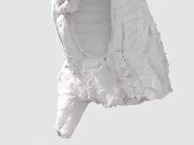 Pork Body Half 2 Low-poly 3D model