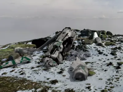 3D crash site Low-poly 3D model