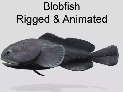 Blobfish Realistic Animated Low-poly 3D model
