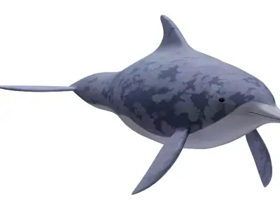 Dolphin Fish 3D model