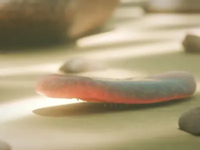  Odontogriphus Low-poly 3D model