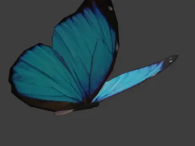 Butterfly - Insect Low-poly 3D model