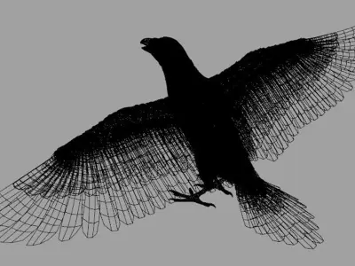 Crow Bird Dove 3D model